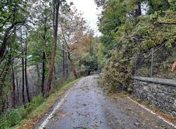 Maltempo: Alberi caduti al Campo dei Fiori