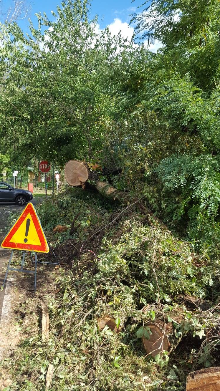 Maltempo nel Basso Verbano