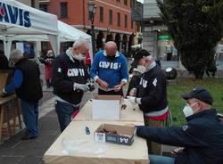 Saronno, 150 kg di caldarroste distribuite durante la castagnata di Avis 