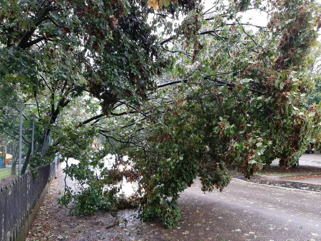 Vento e danni a Legnano 3 ottobre