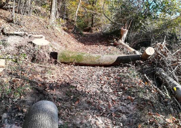 Cocquio, la riapertura dei sentieri