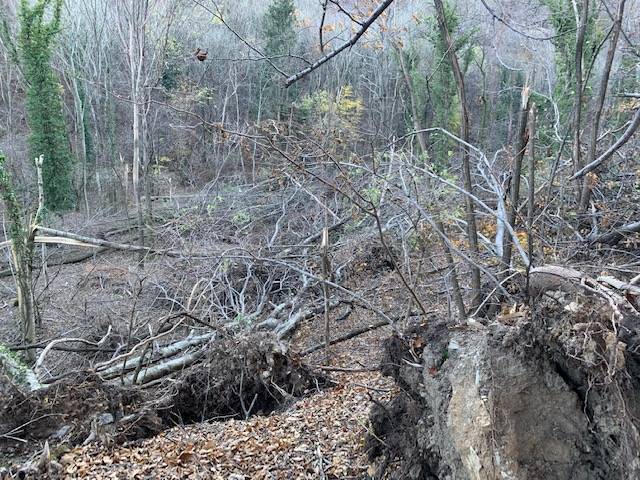 La devastazione alle pendici della Roca di Orino