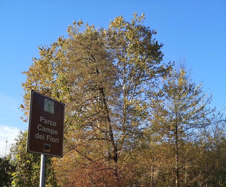 L'autunno sulla via Francisca