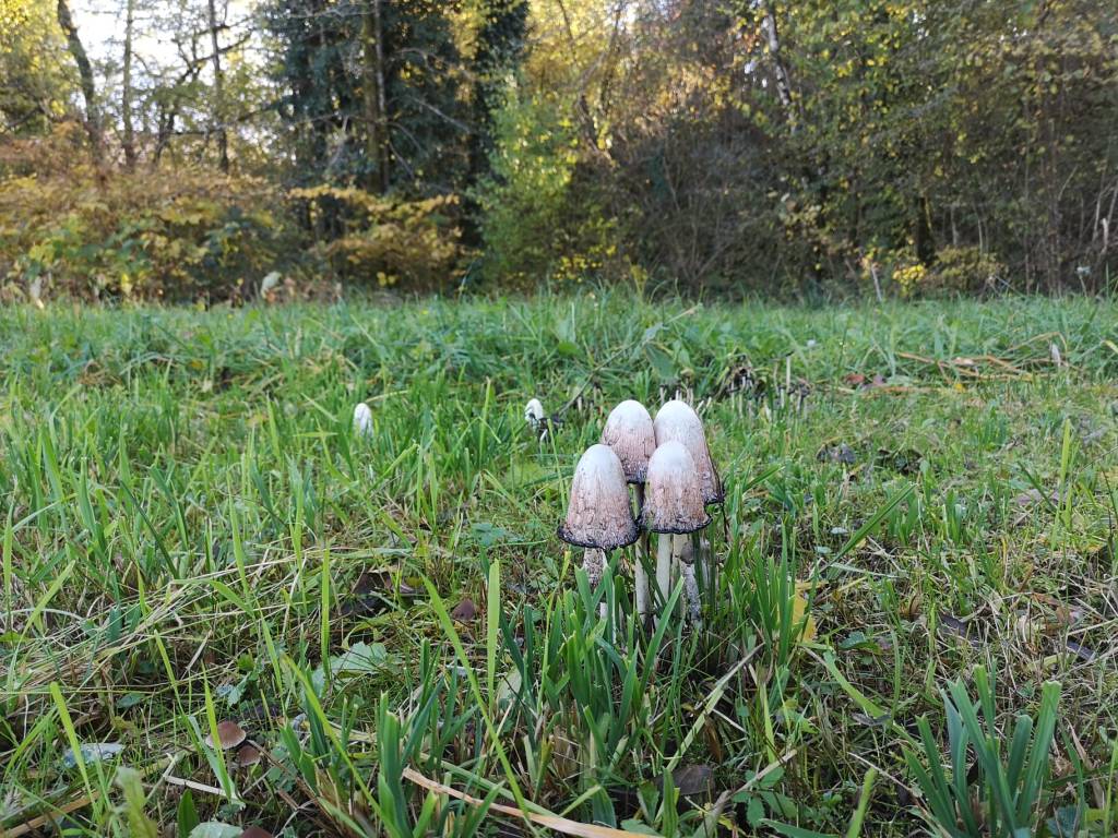 L'autunno sulla via Francisca