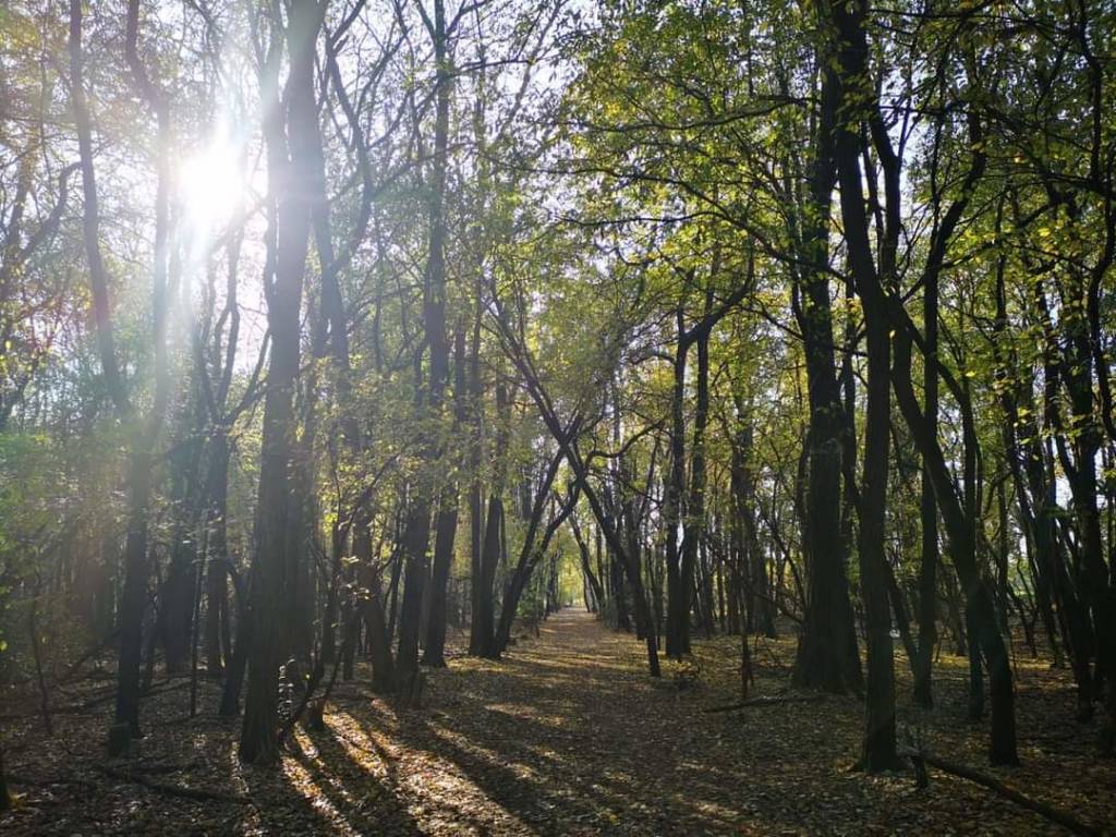 L'autunno sulla via Francisca