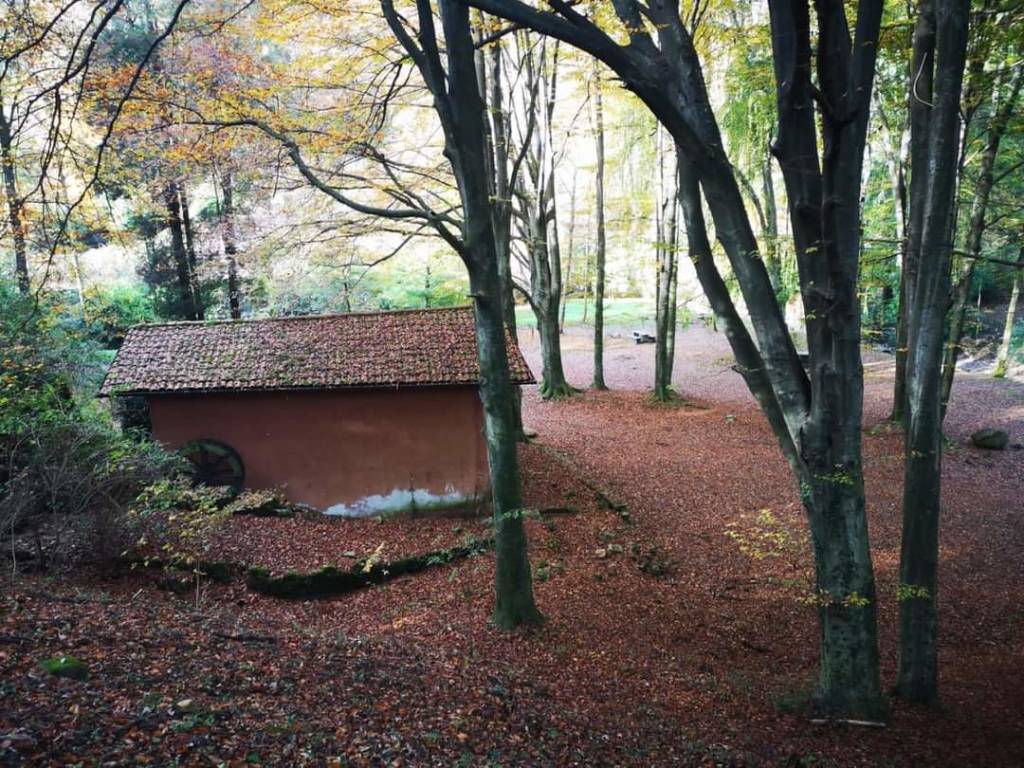 L'autunno sulla via Francisca