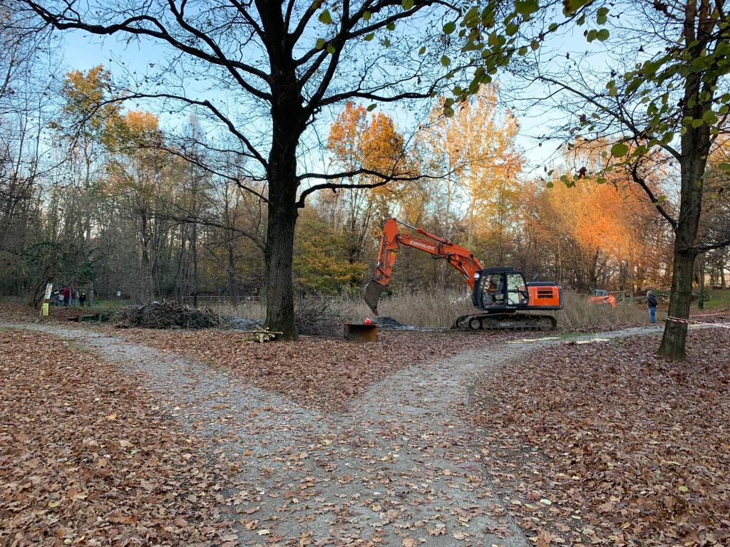 parco la fornace albizzate lavori manutenzione