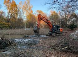 parco la fornace albizzate lavori manutenzione