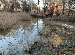 parco la fornace albizzate lavori manutenzione