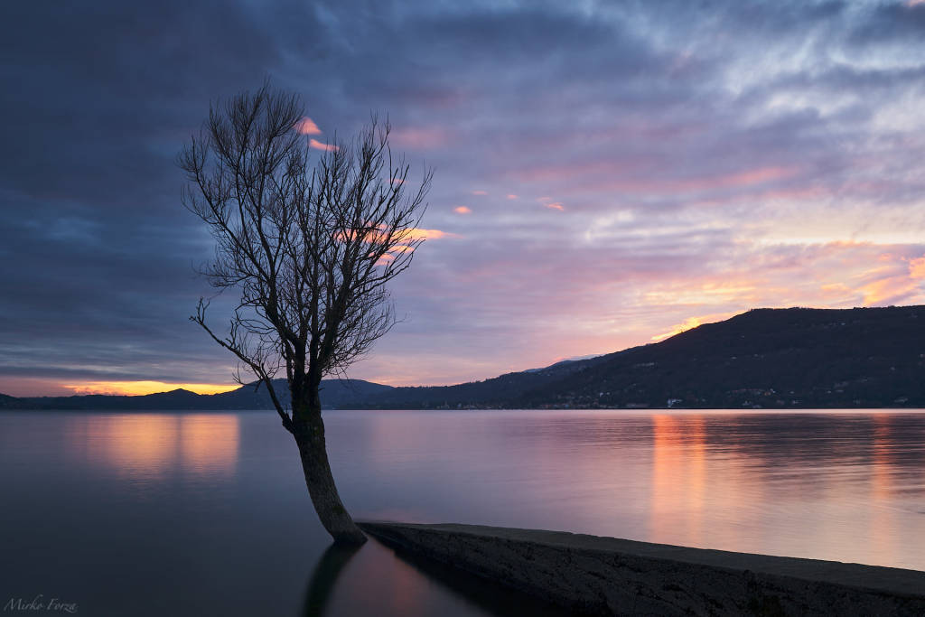 arolo di leggiuno - foto di Mirko Forza