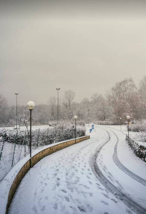 Gerenzano, il Parco degli Aironi sotto la neve