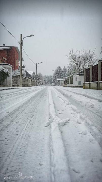 Gerenzano, il Parco degli Aironi sotto la neve