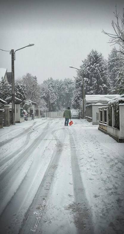 Gerenzano, il Parco degli Aironi sotto la neve