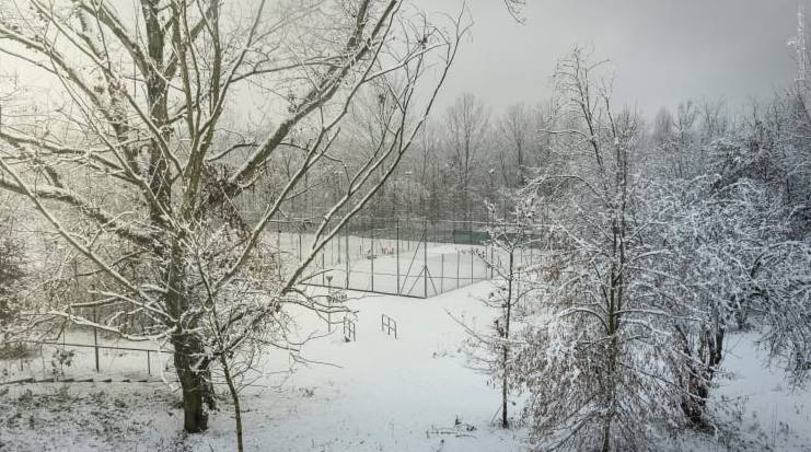 Gerenzano, il Parco degli Aironi sotto la neve