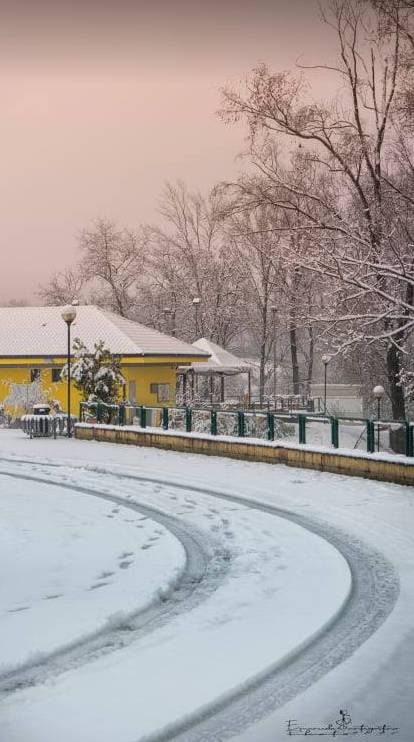 Gerenzano, il Parco degli Aironi sotto la neve