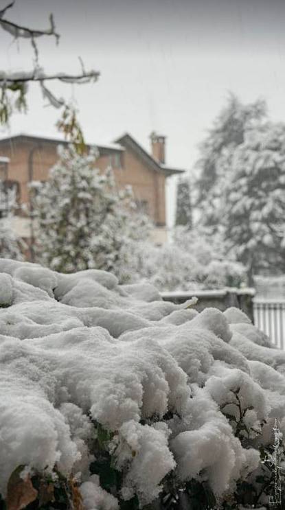 Gerenzano, il Parco degli Aironi sotto la neve