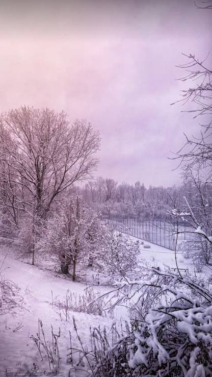 Gerenzano, il Parco degli Aironi sotto la neve