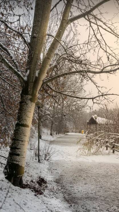 Gerenzano, il Parco degli Aironi sotto la neve