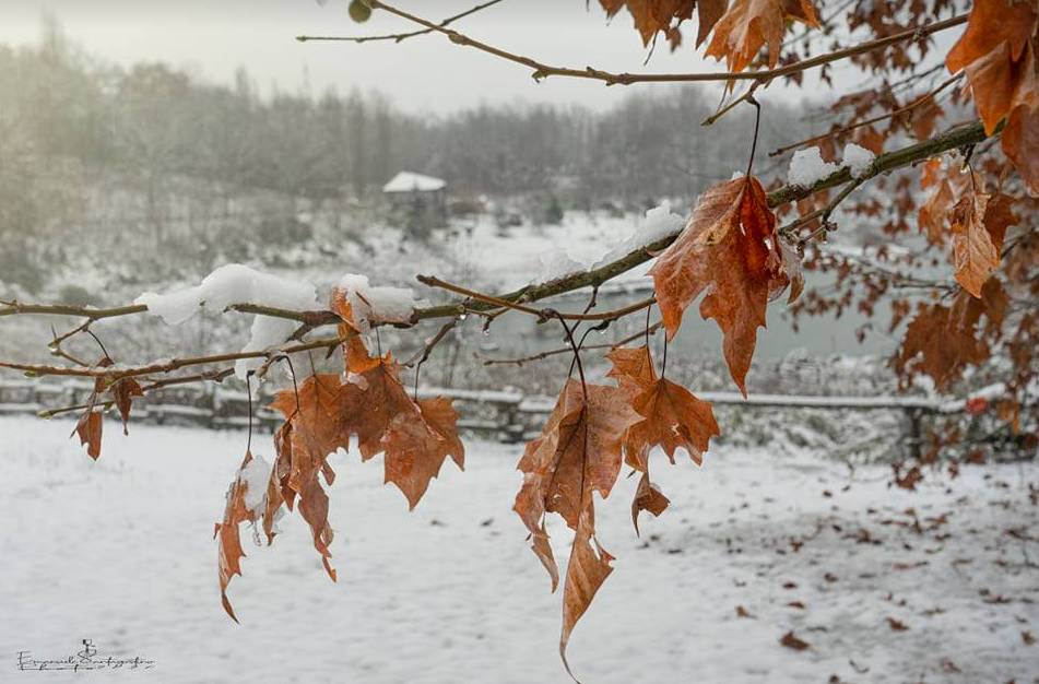 Gerenzano, il Parco degli Aironi sotto la neve