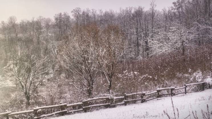 Gerenzano, il Parco degli Aironi sotto la neve