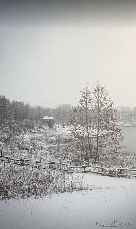 Gerenzano, il Parco degli Aironi sotto la neve