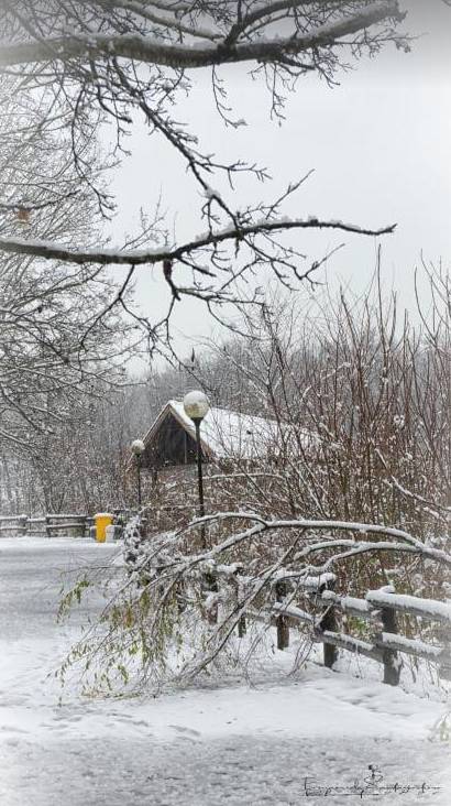 Gerenzano, il Parco degli Aironi sotto la neve