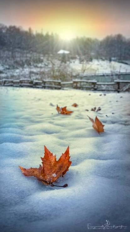 Gerenzano, il Parco degli Aironi sotto la neve