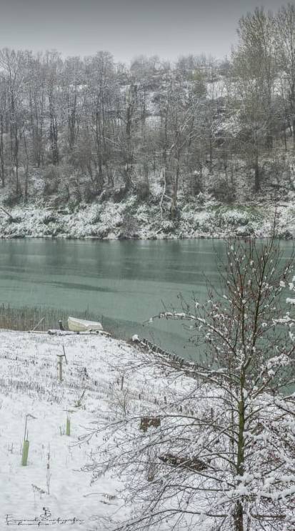 Gerenzano, il Parco degli Aironi sotto la neve