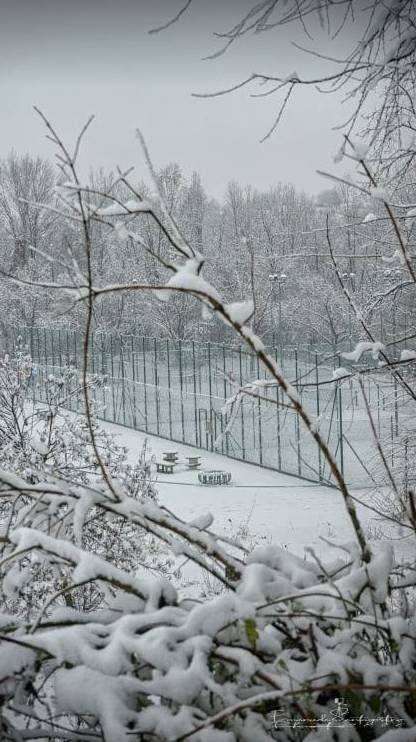 Gerenzano, il Parco degli Aironi sotto la neve