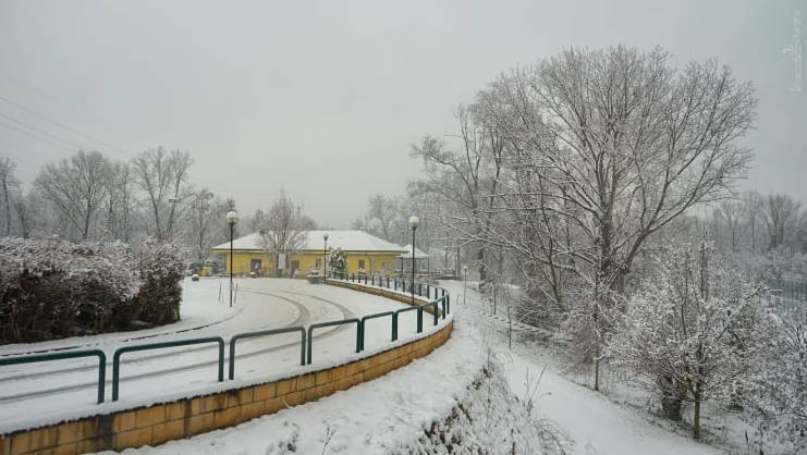 Gerenzano, il Parco degli Aironi sotto la neve