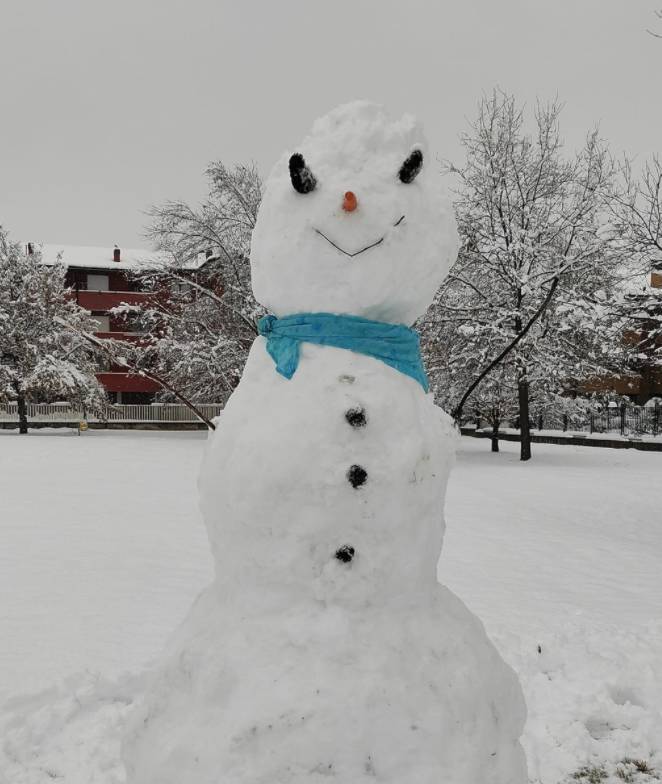 I pupazzi di neve dei lettori di Legnanonews