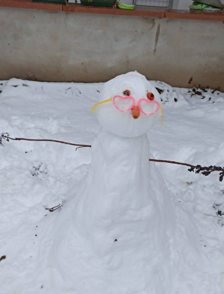 I pupazzi di neve dei lettori di Legnanonews