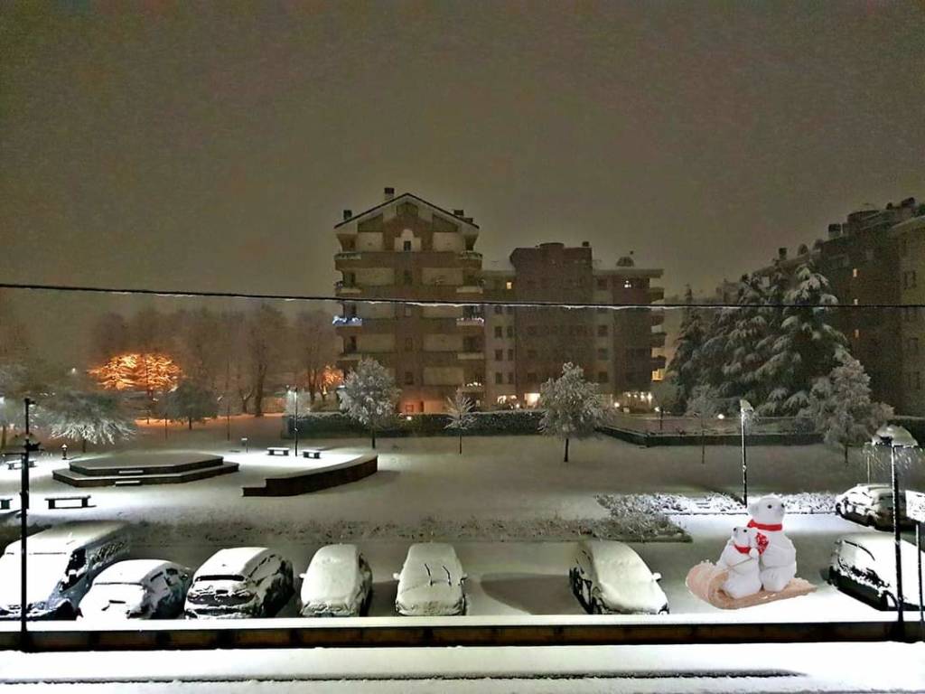 La neve imbianca i Comuni del Saronnese