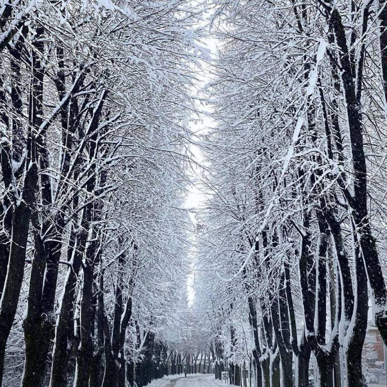 La neve imbianca i Comuni del Saronnese