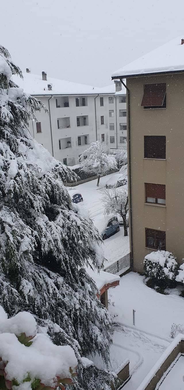 La neve imbianca i Comuni del Saronnese