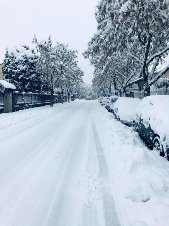 La neve imbianca i Comuni del Saronnese