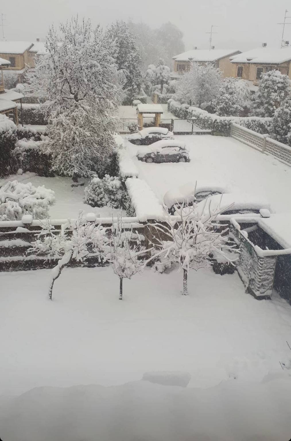 La neve imbianca i Comuni del Saronnese