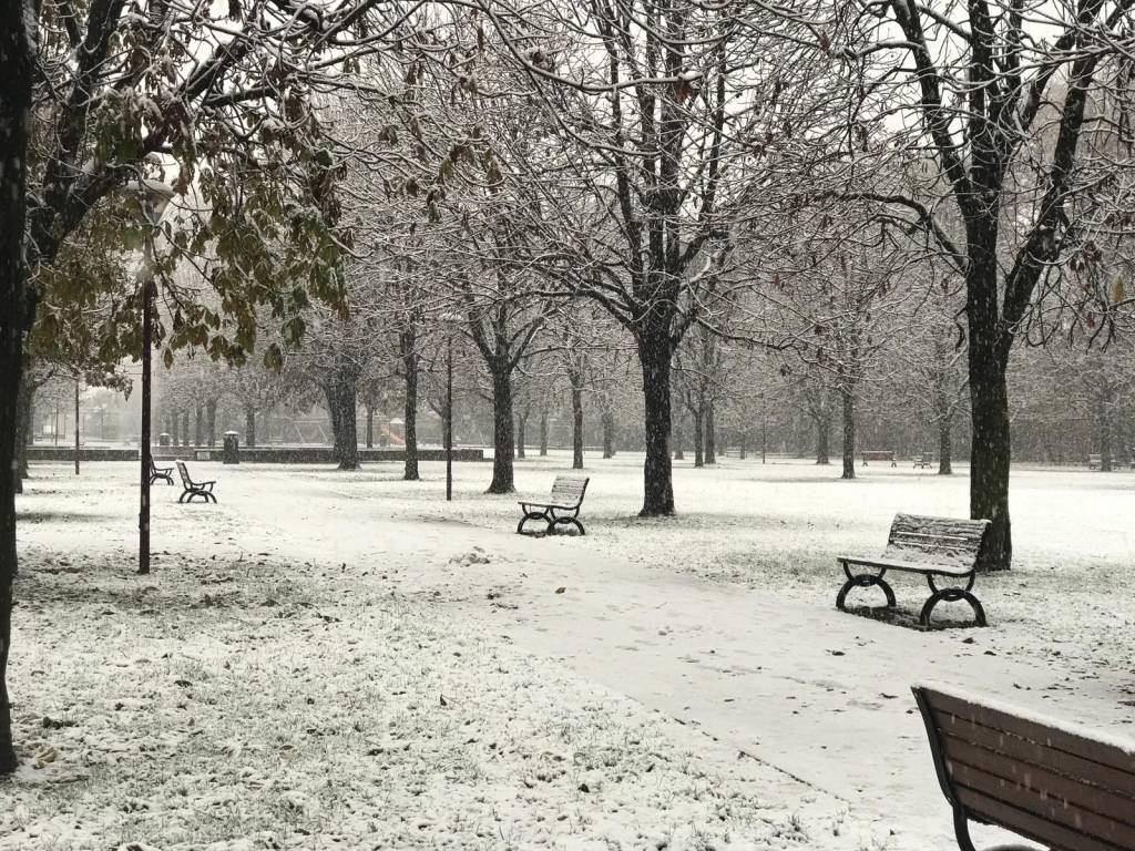 La neve sul Saronnese 