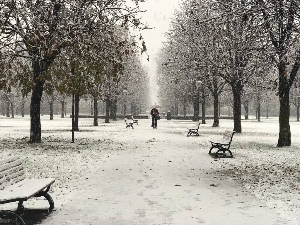 La neve sul Saronnese 