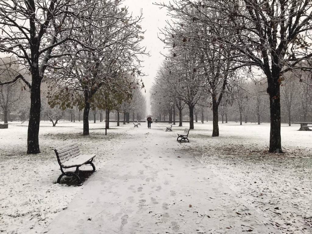 La neve sul Saronnese 