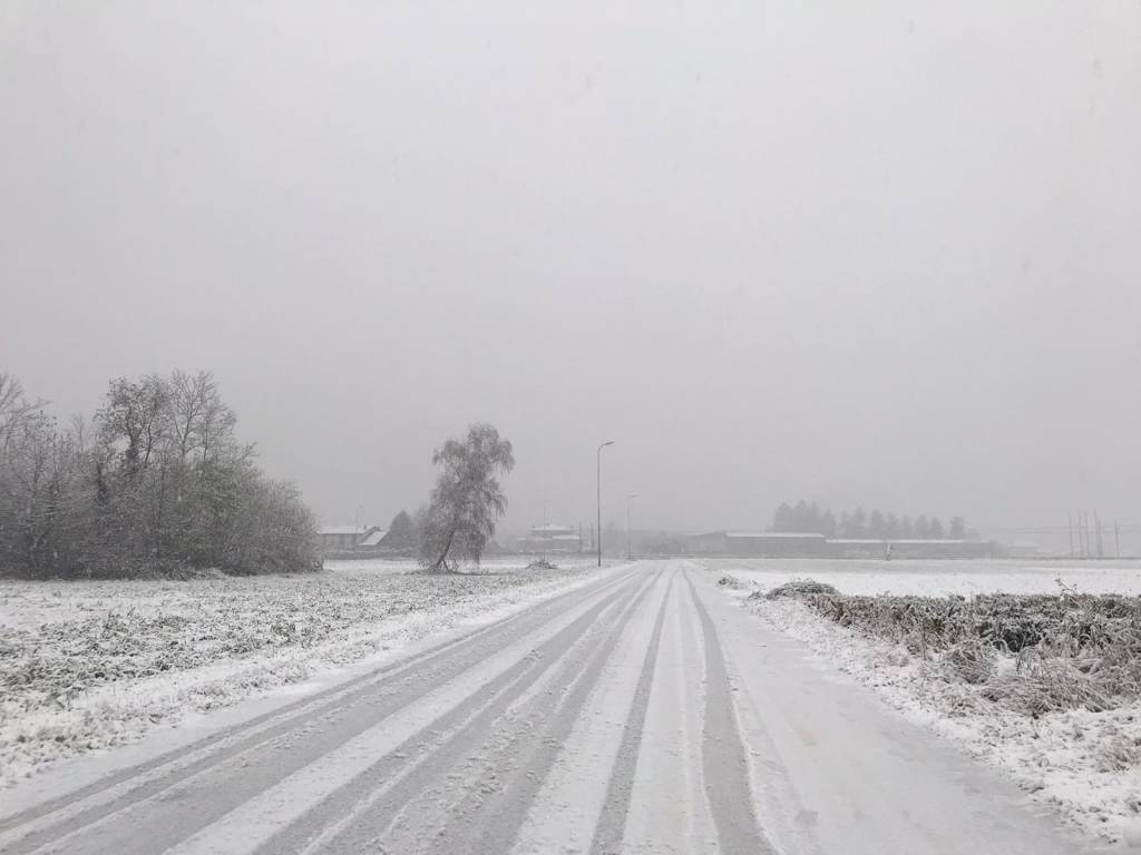 La neve sul Saronnese 