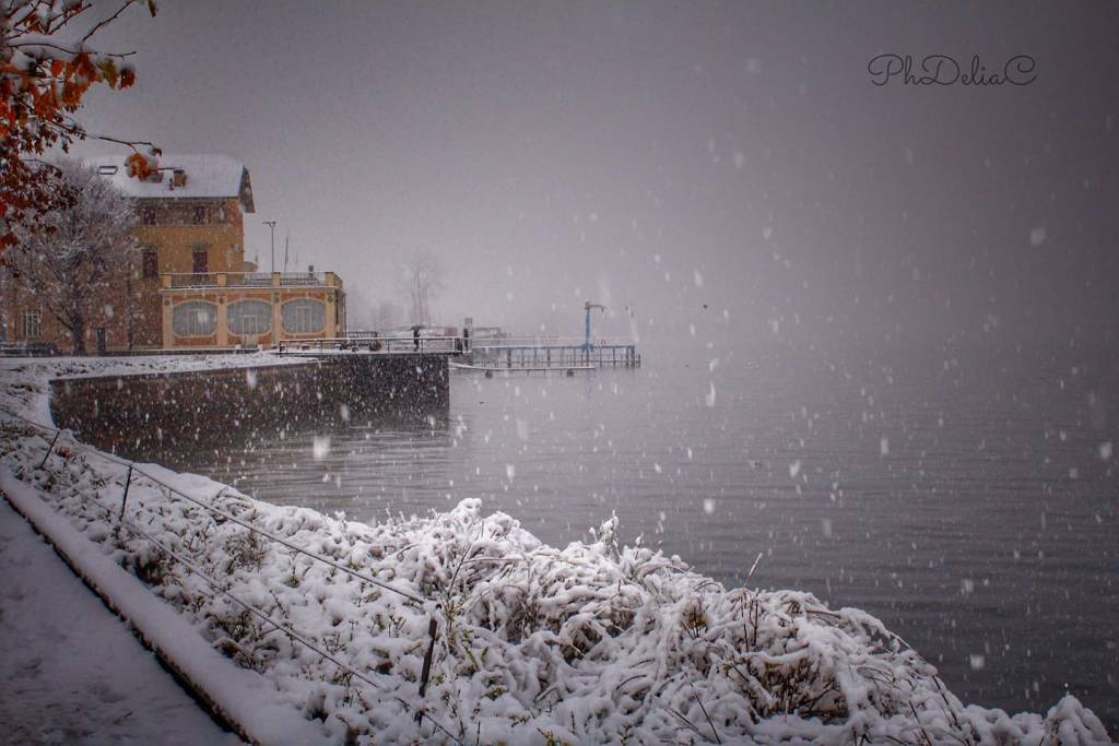 luino - delia ilona ciocoiu