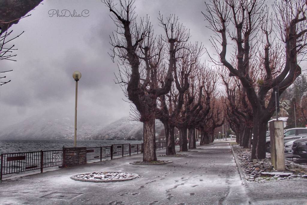 luino vestita di bianco