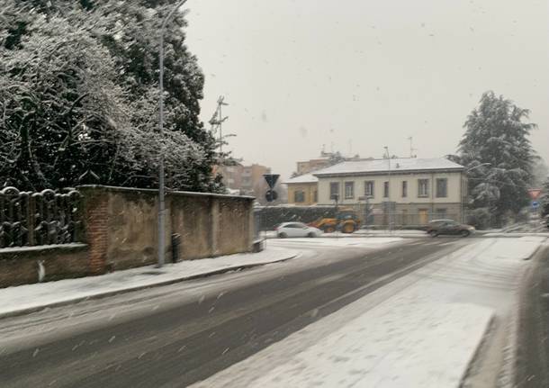 Neve Gallarate 2020