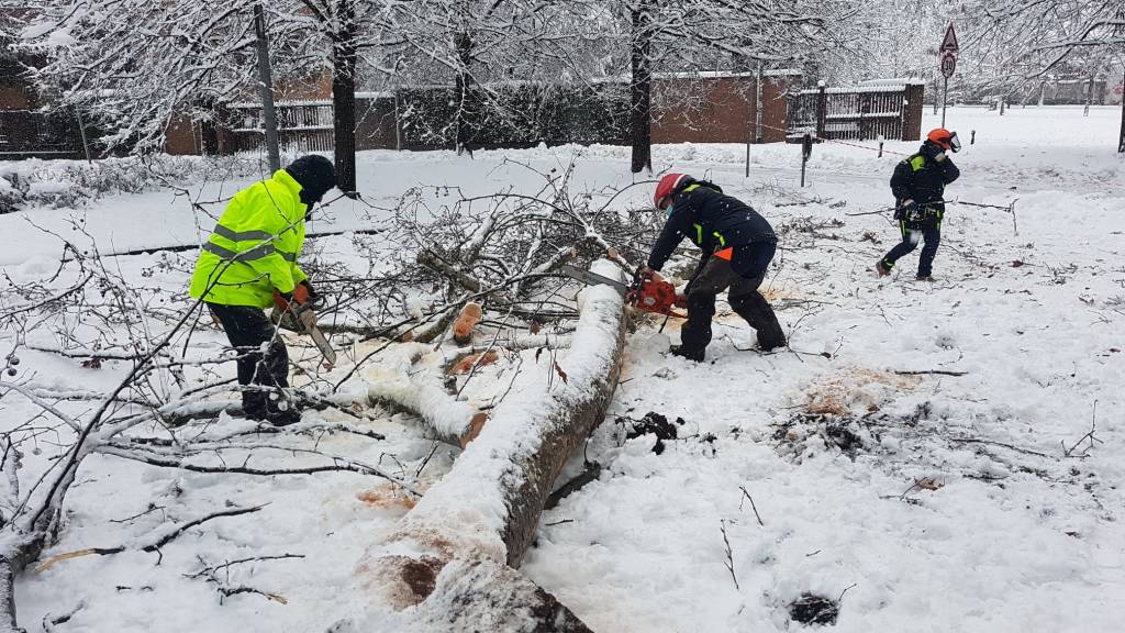 Nevicata 28 dicembre Legnano e Alto Milanese