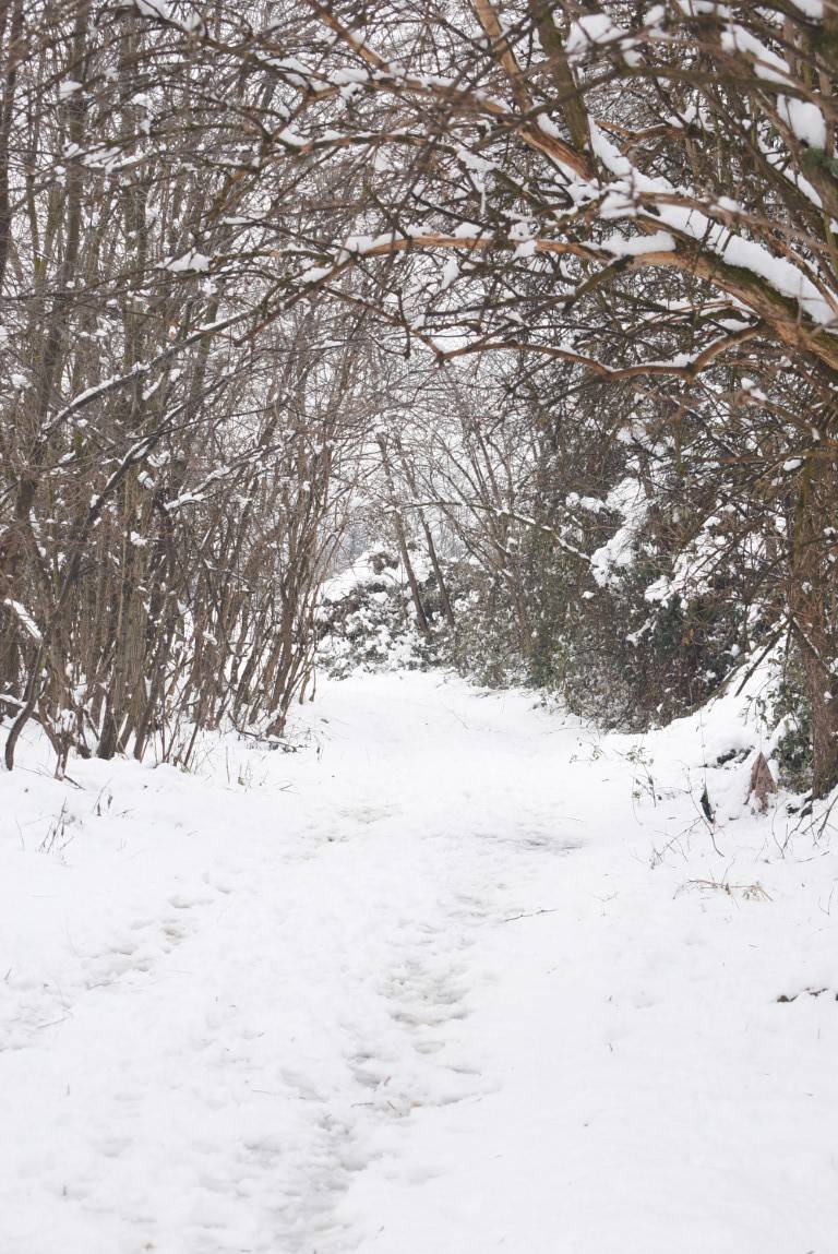 Nevicata 28 dicembre Legnano e Alto Milanese