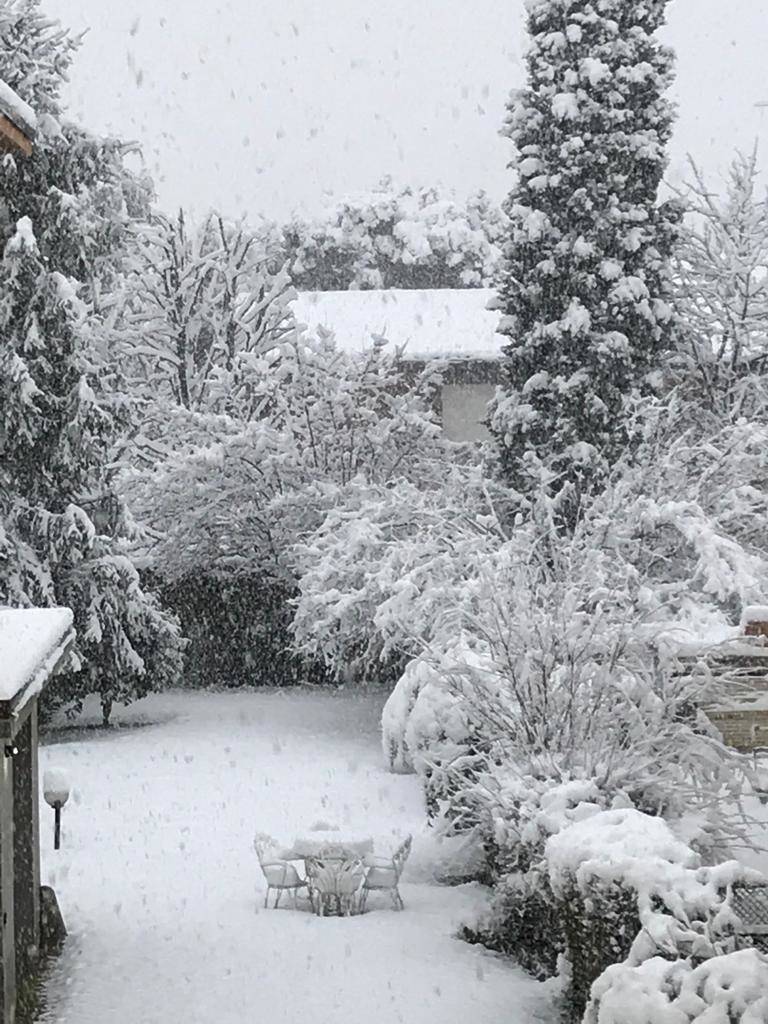 Nevicata 28 dicembre Legnano e Alto Milanese