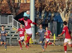 calcio bra varese