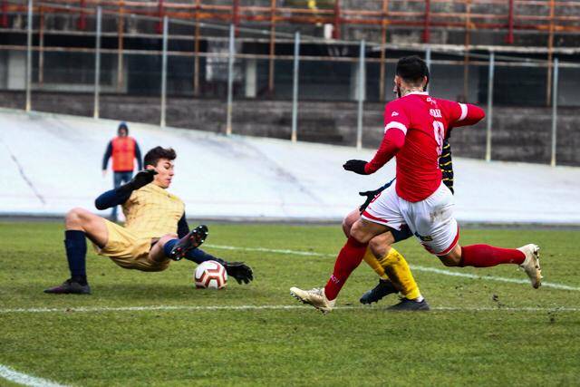 calcio varese arconatese