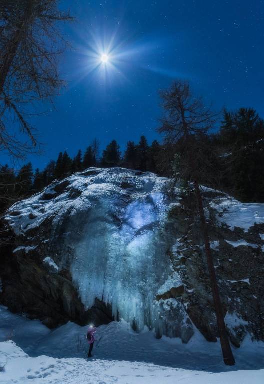 Fotografare il parco, i vincitori